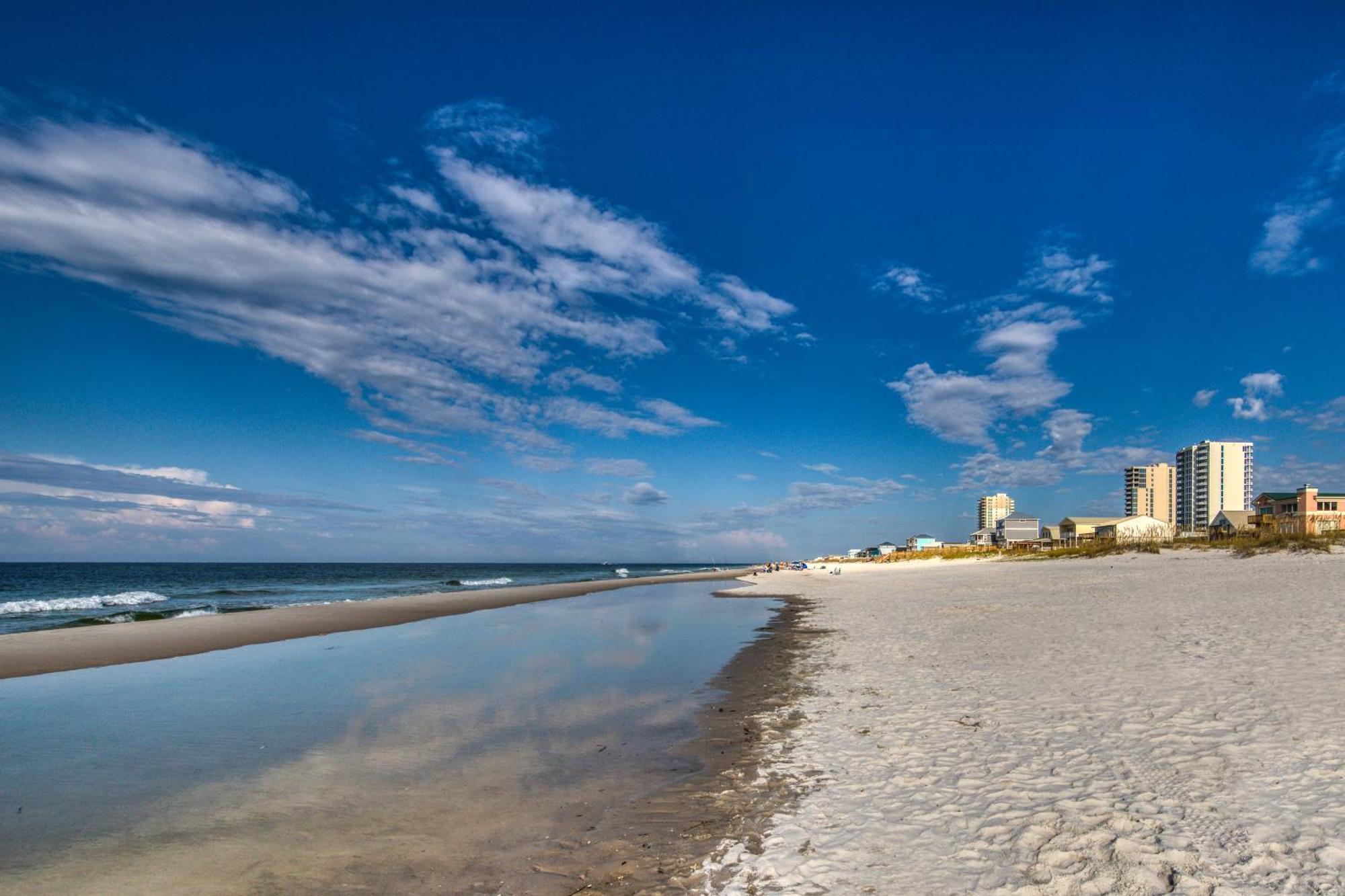 Gulf Shores Surf & Racquet Club Condos II Værelse billede